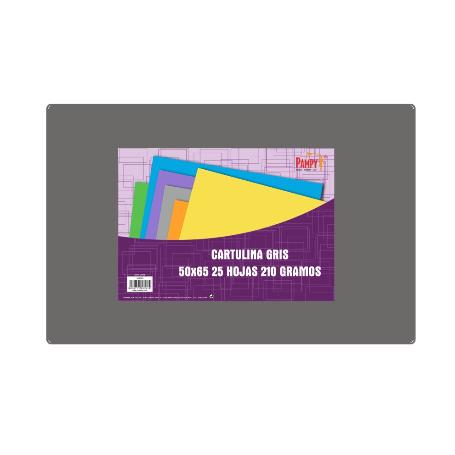 CARTULINA 50X65 GRIS