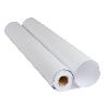 PAPEL DE PLOTTER SPRINJET PLUS 610X50M 80GR