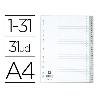 SEPARADOR A4 1-31 