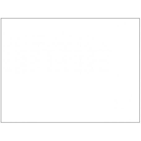 CARTULINA 50X65 BLANCA